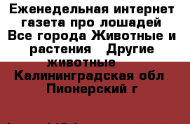 Еженедельная интернет - газета про лошадей - Все города Животные и растения » Другие животные   . Калининградская обл.,Пионерский г.